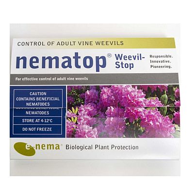 Nematop for Adult Vine Weevil